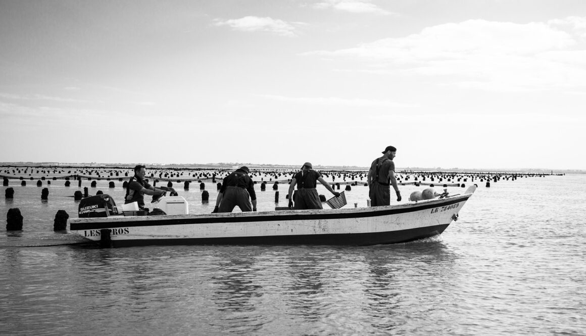 Crescent - Maison Margat Stratégie Digitale