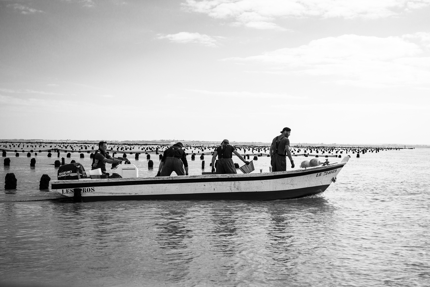 Crescent - Maison Margat Stratégie Digitale