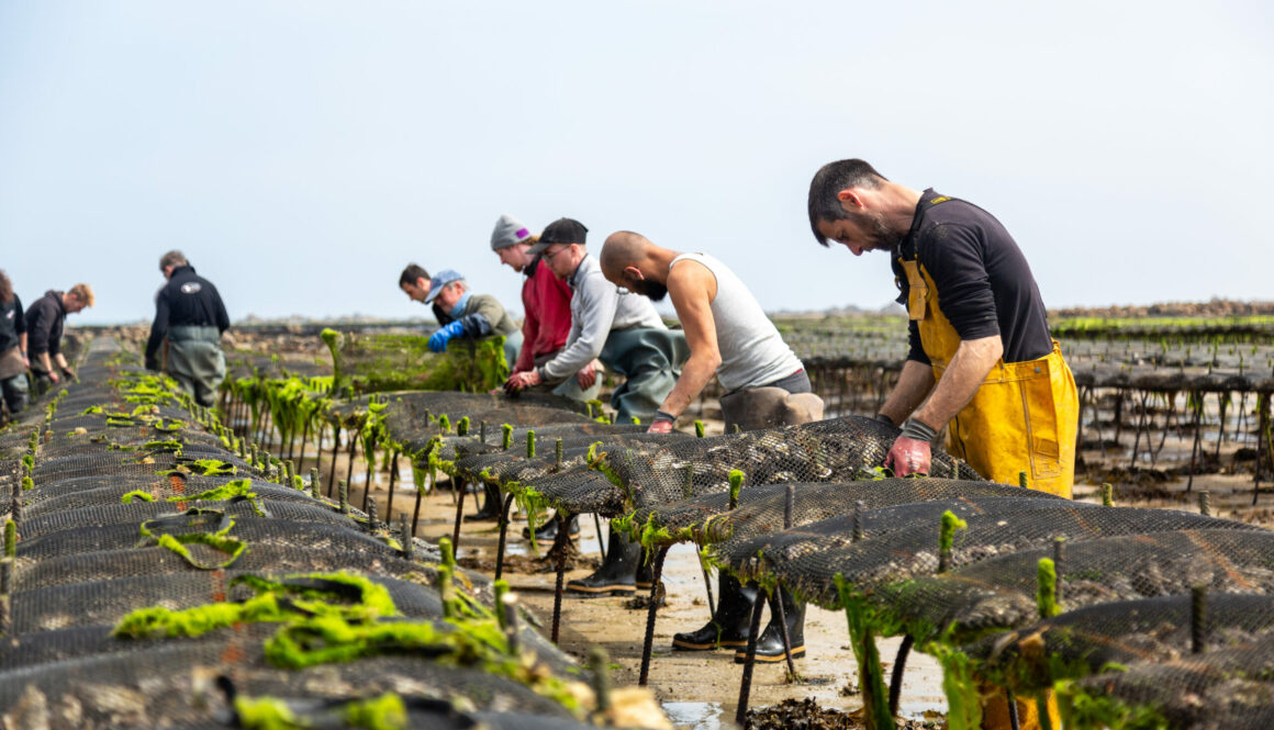 Reportage Photo & Studio Photo