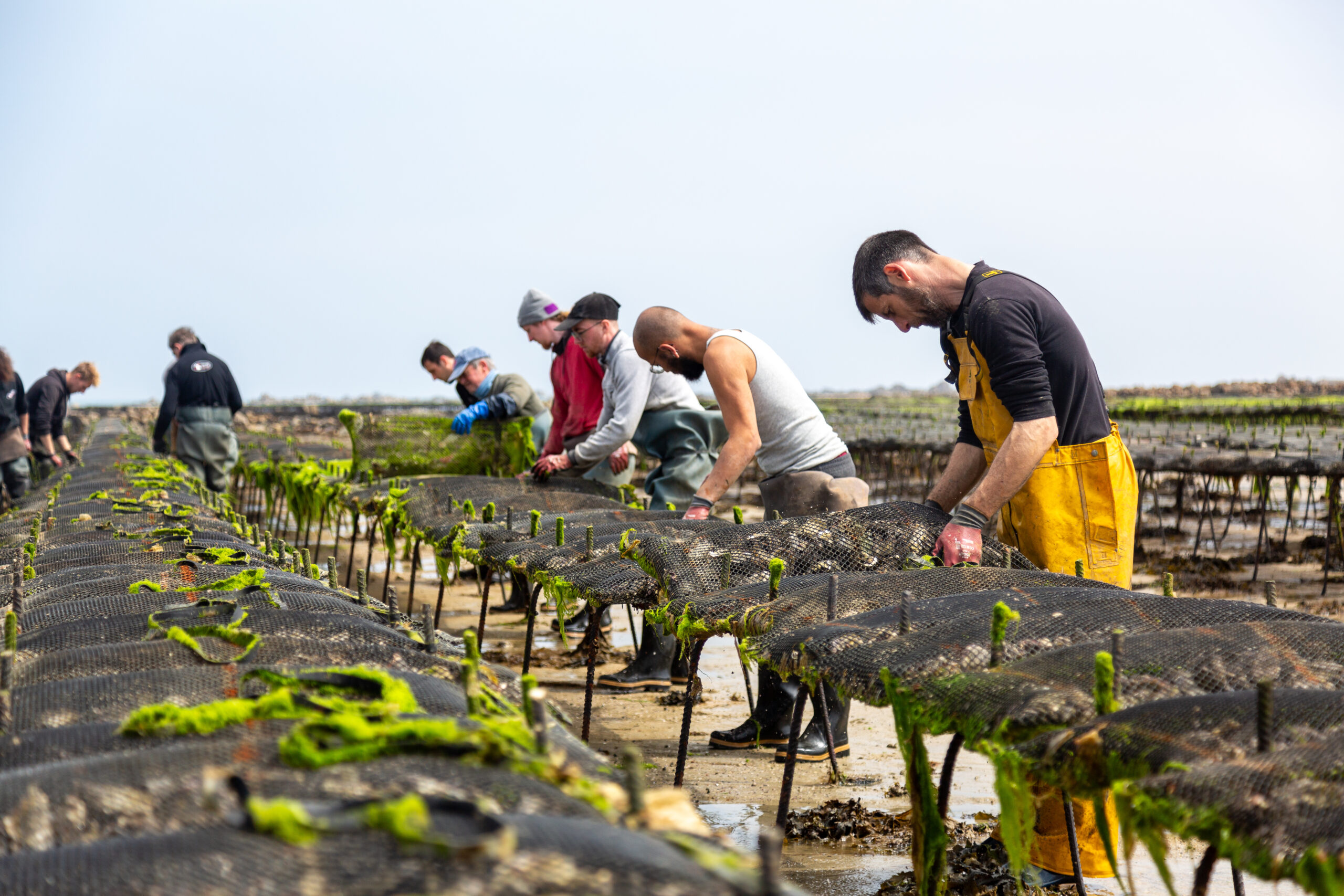 Un indispensable pour communiquer de manière personnalisée et humaine, mettant en valeur votre savoir-faire et votre entreprise.