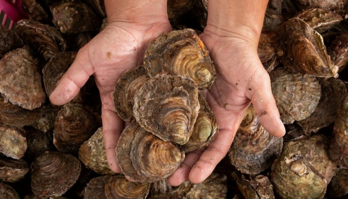 Famille Beaulieu - Crescent